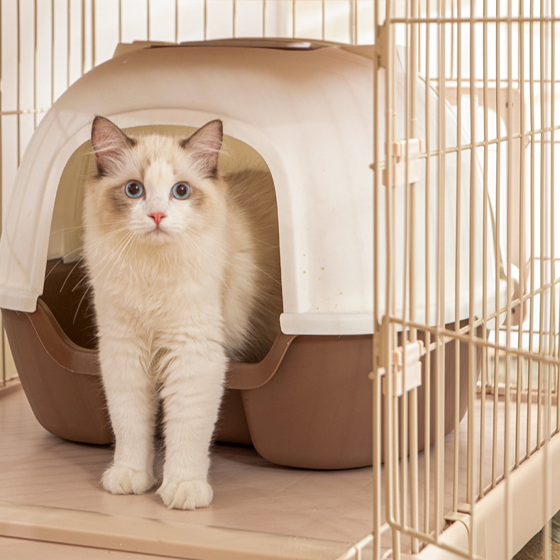 ペットケージ 二段式組み立て自由猫ケージ大型