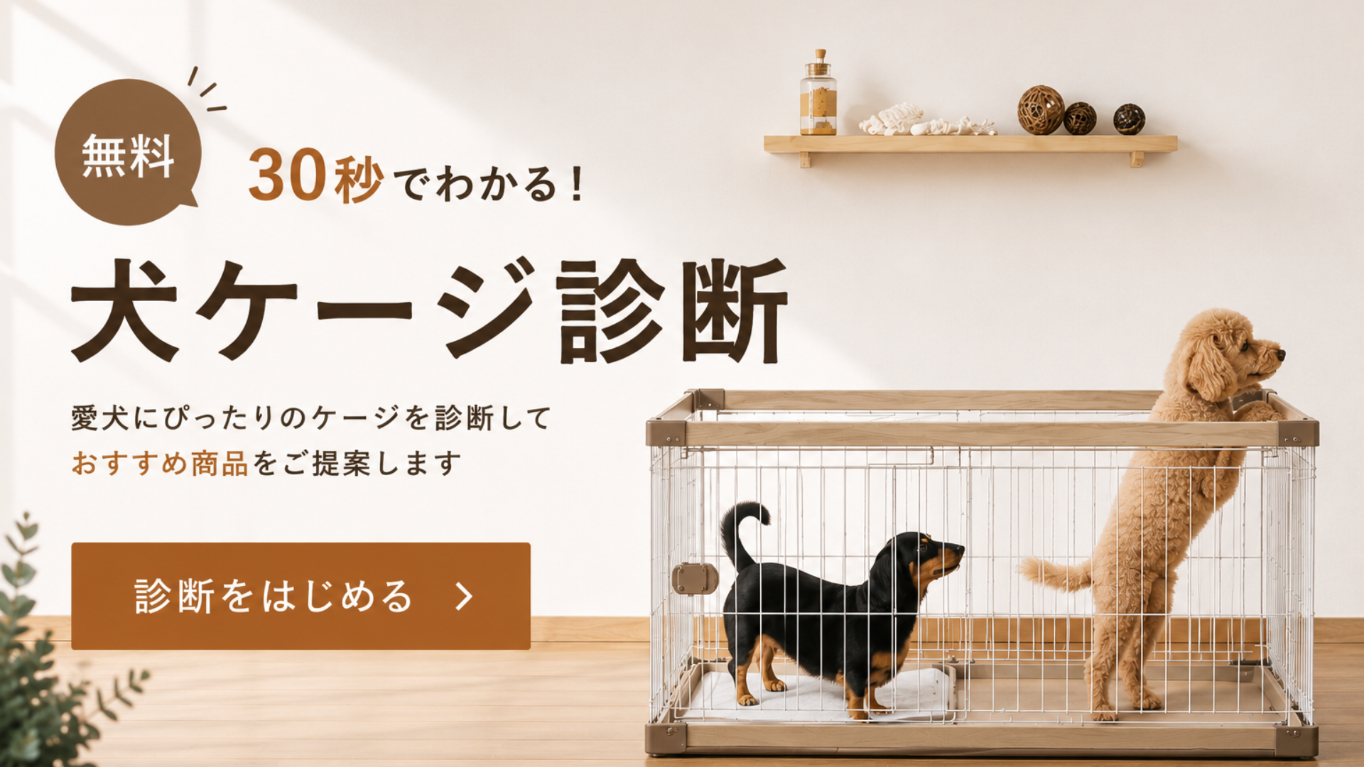 犬ケージ専門店が解説】子犬のケージはいつまで必要？卒業の判断基準と 