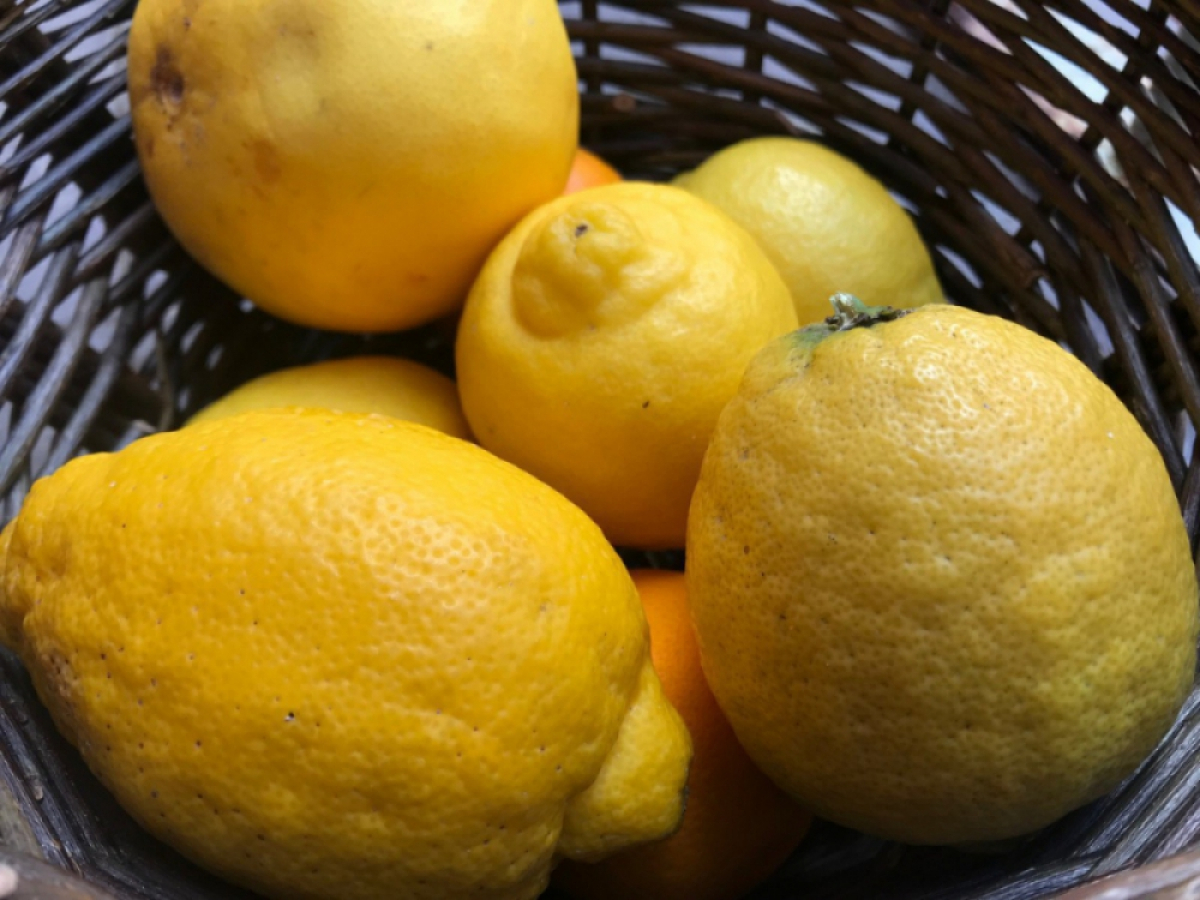 厳選された食材