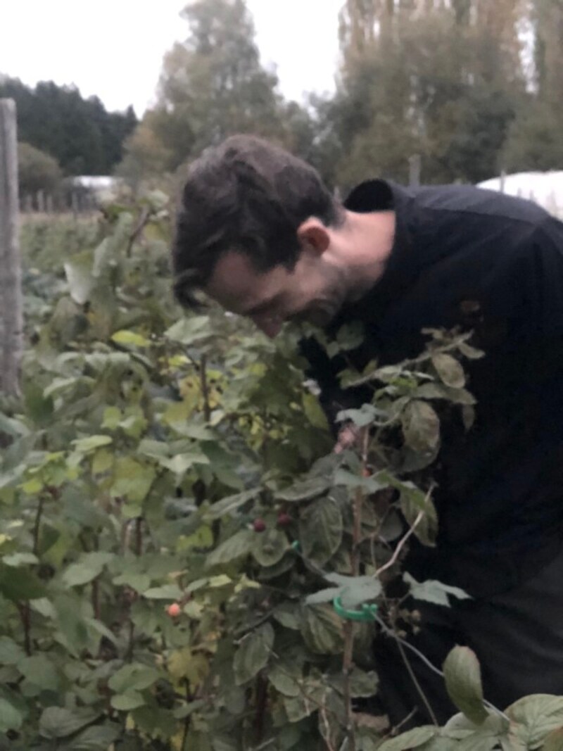 厳選された食材