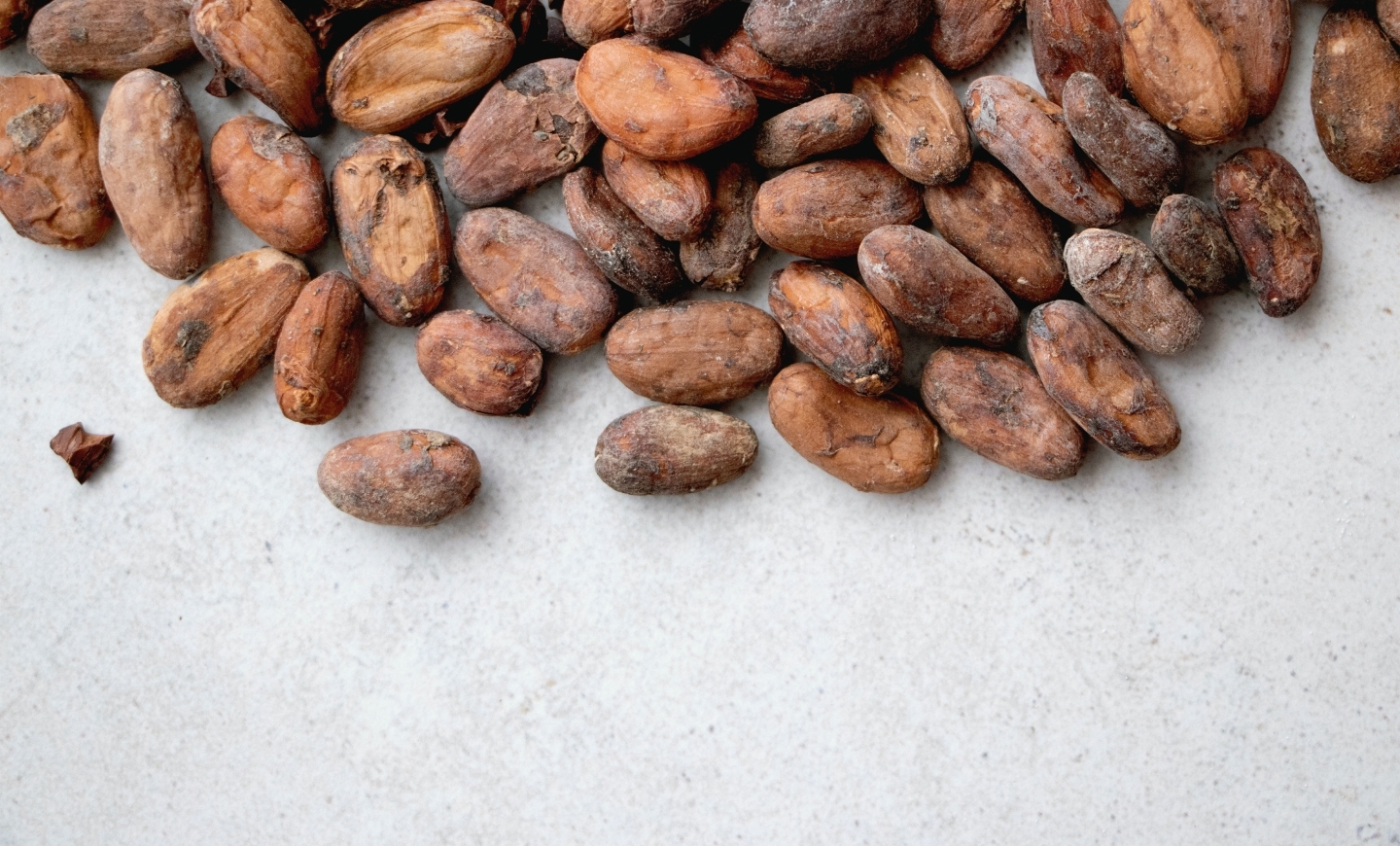 厳選された食材