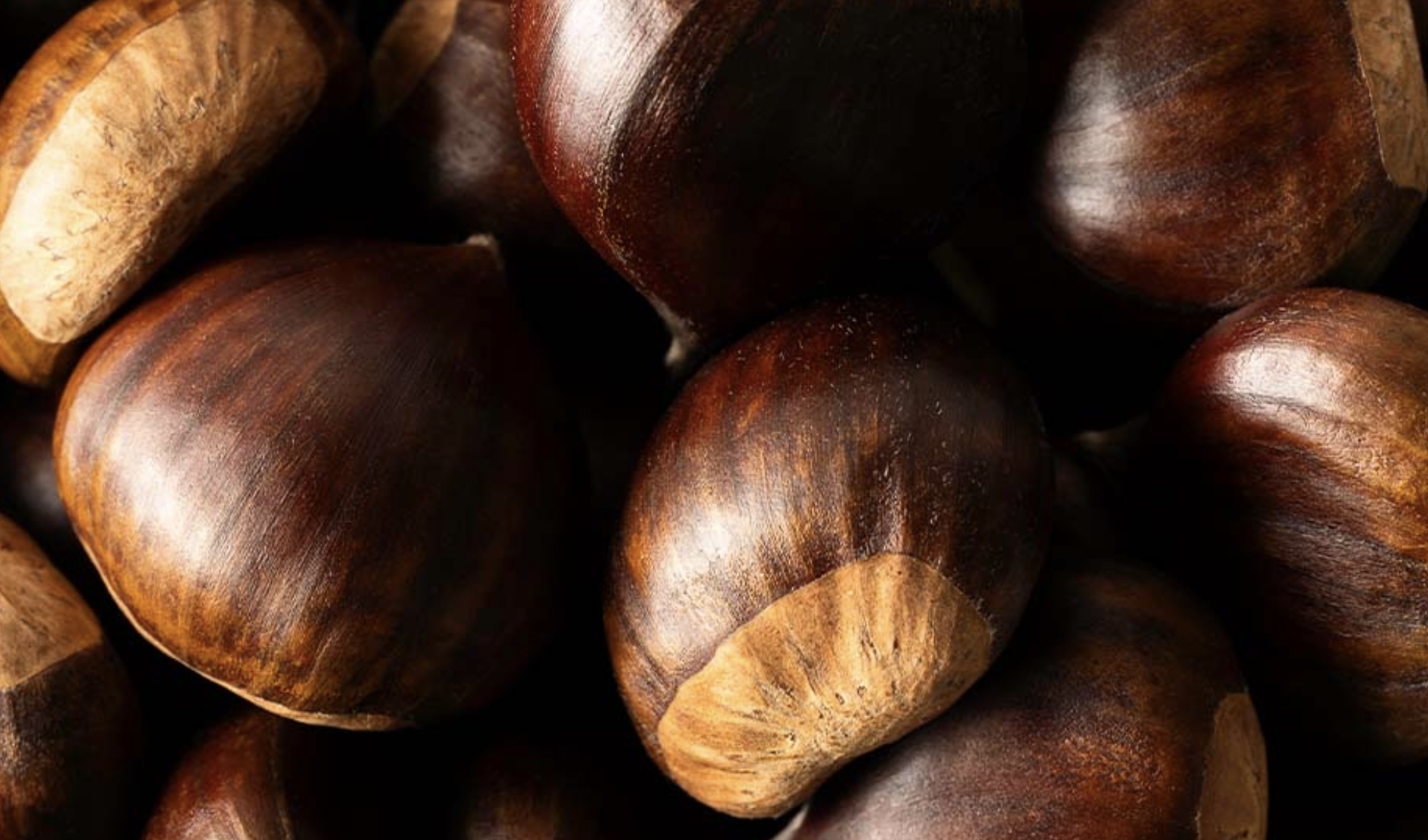 厳選された食材