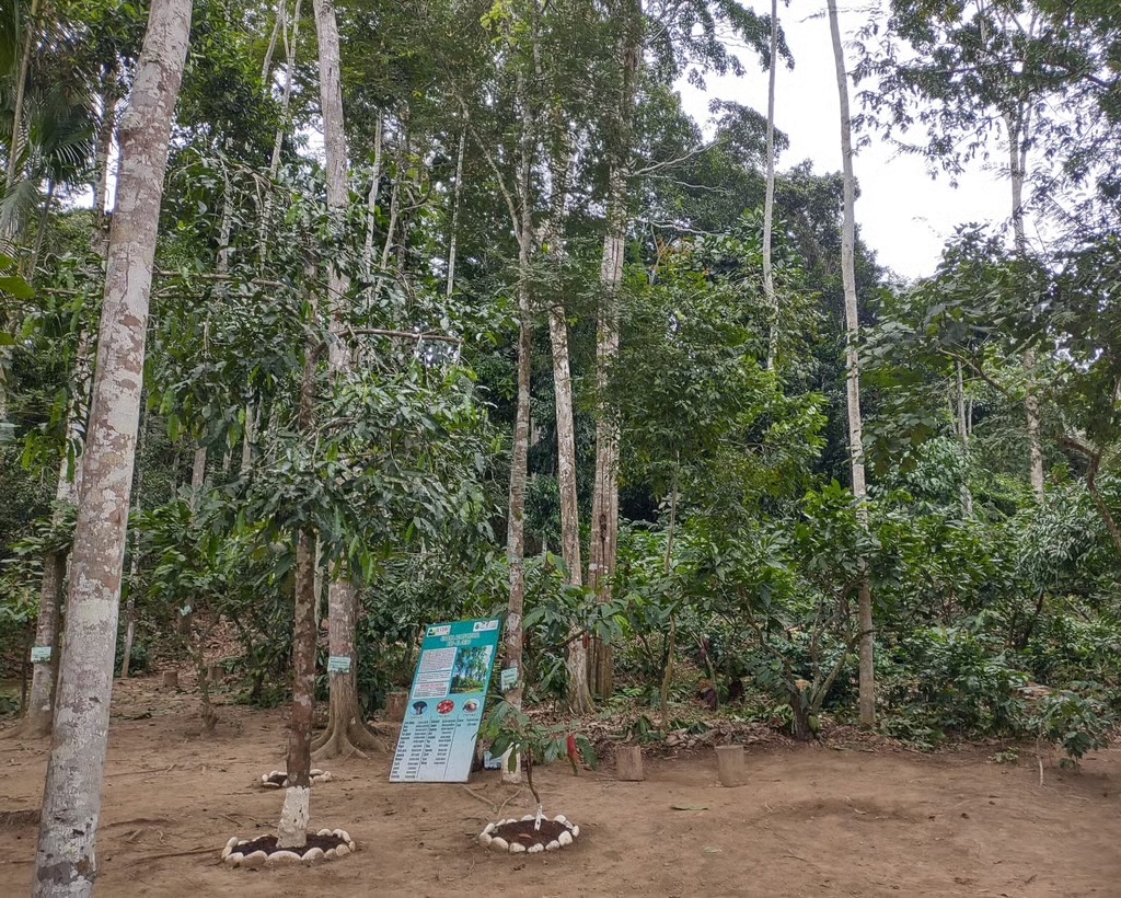 厳選された食材