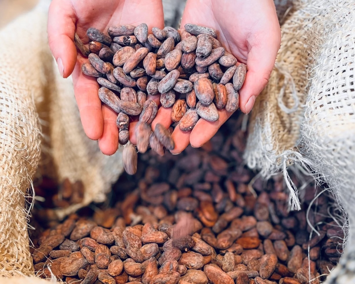 厳選された食材