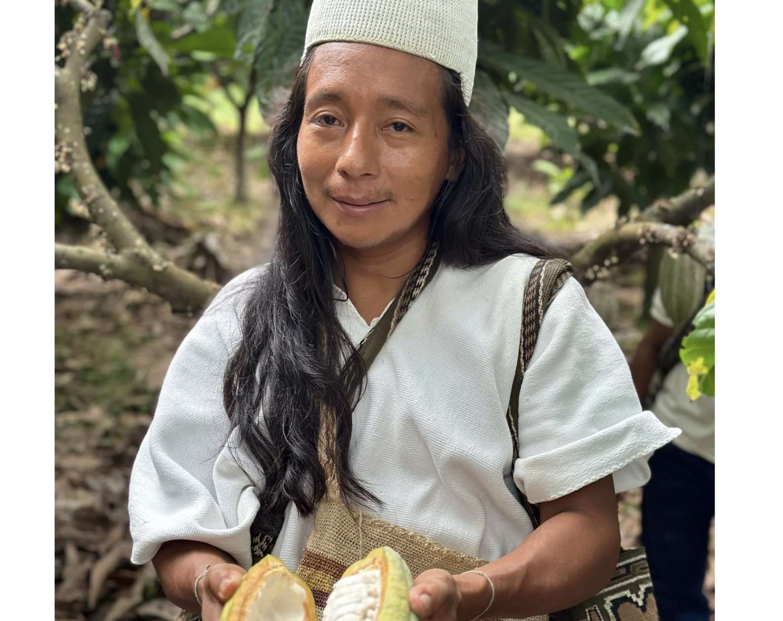厳選された食材