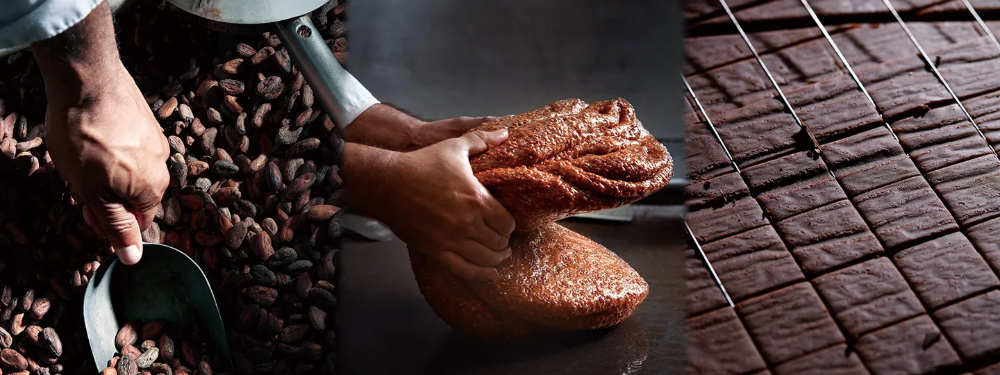 厳選された食材