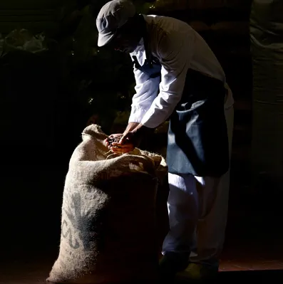 厳選された食材