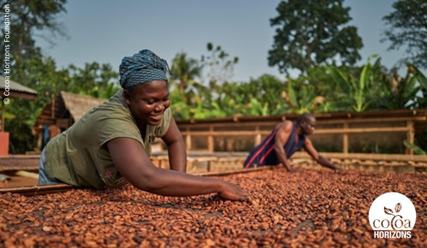 厳選された食材