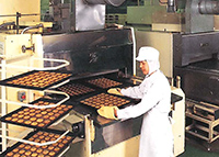 厳選された食材