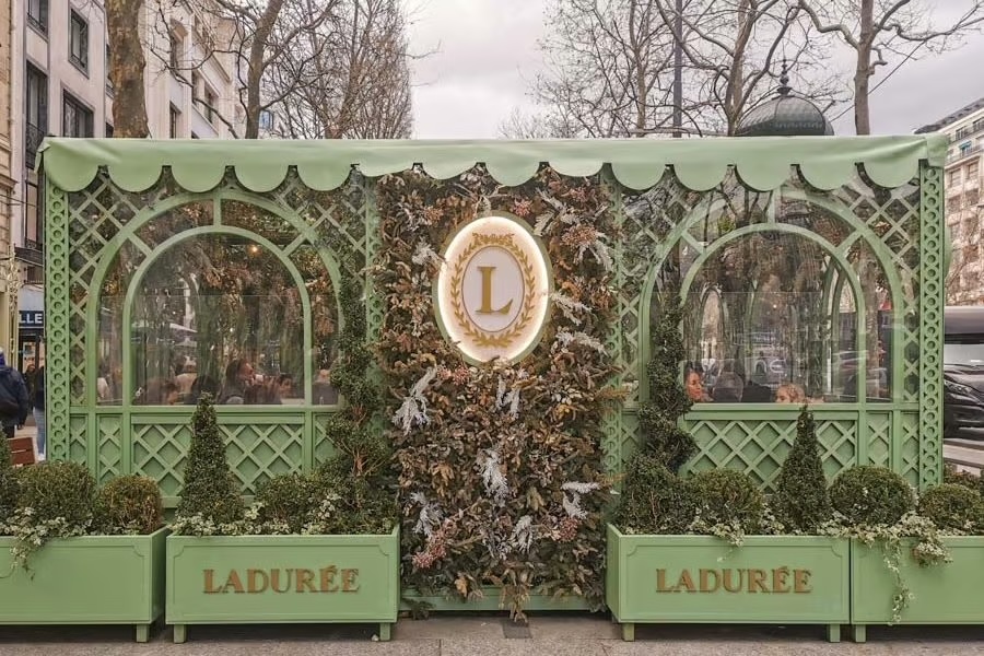 厳選された食材