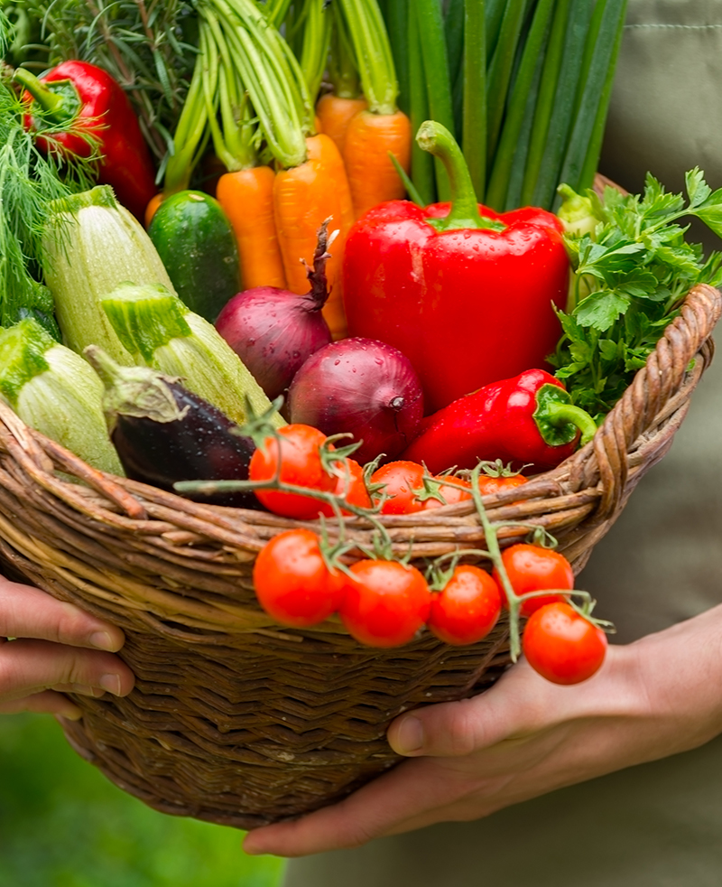 厳選された食材