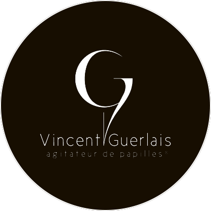 Vincent Guerlais