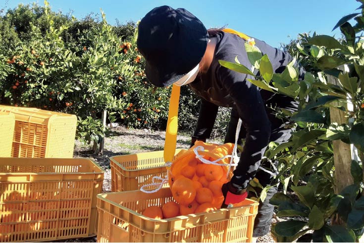 厳選された食材
