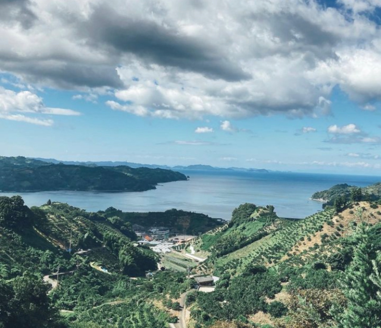 メイン画像:2枚目:数量＆期間限定！宇和島産ブラッドオレンジの酒粕テリーヌショコラ　チョコレート　ホワイトデー