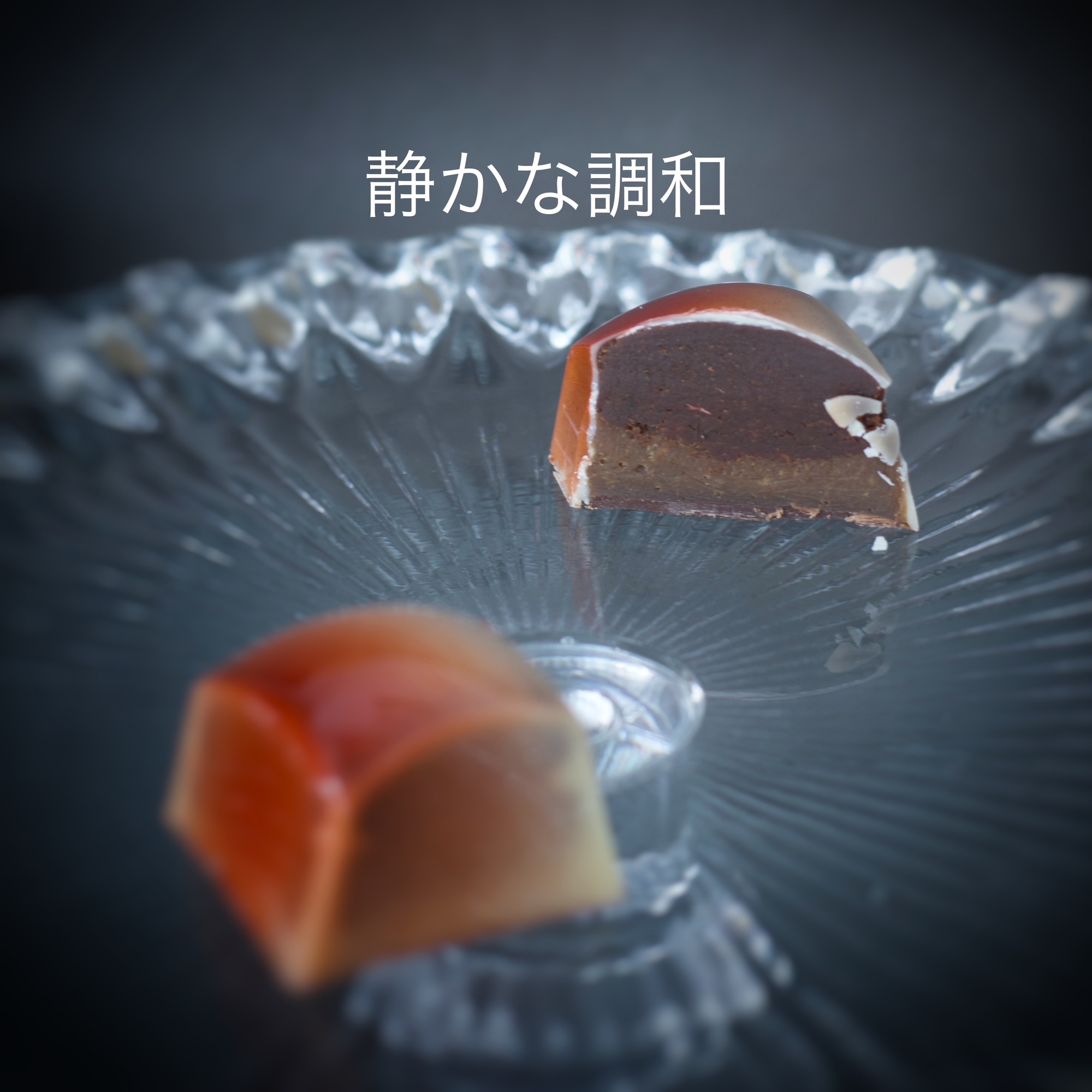 Norico-Chocol'art 新月ショコラ「ひらく兆し」 | 高級チョコレート