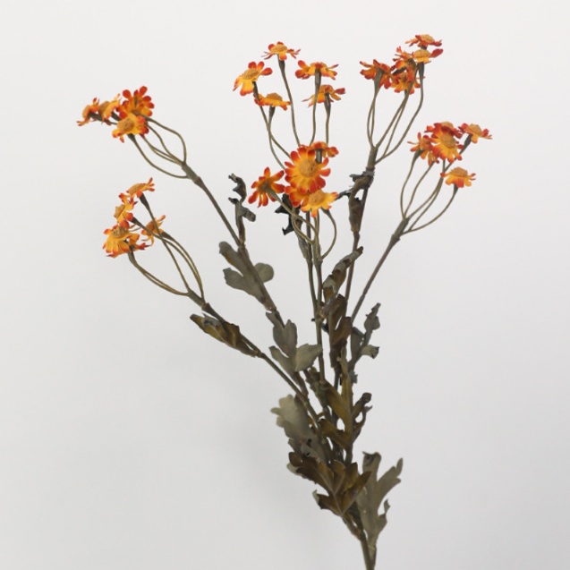 リラックスグッズ 優雅な花々の暮らし彩りドライフラワー