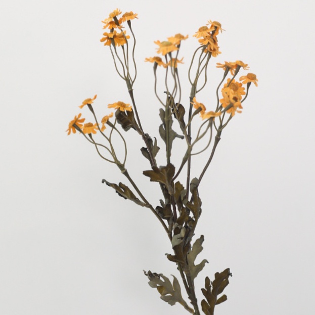 リラックスグッズ 優雅な花々の暮らし彩りドライフラワー
