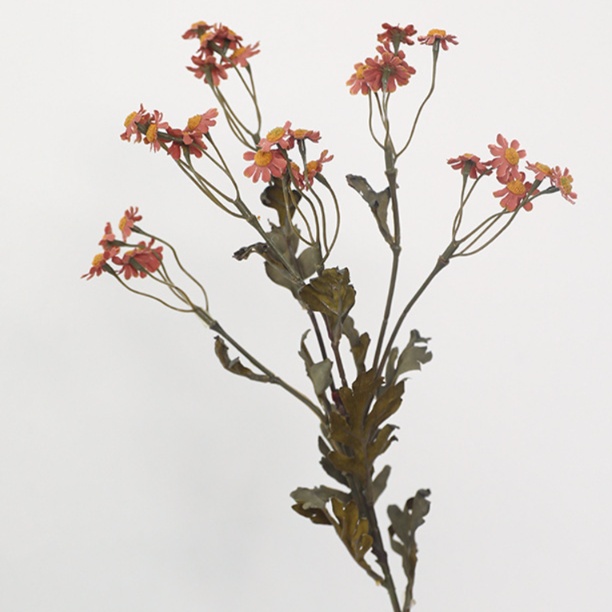 リラックスグッズ 優雅な花々の暮らし彩りドライフラワー