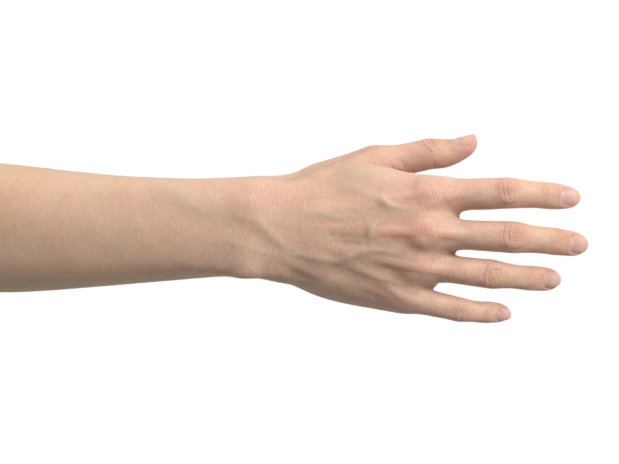 画像の説明（24）