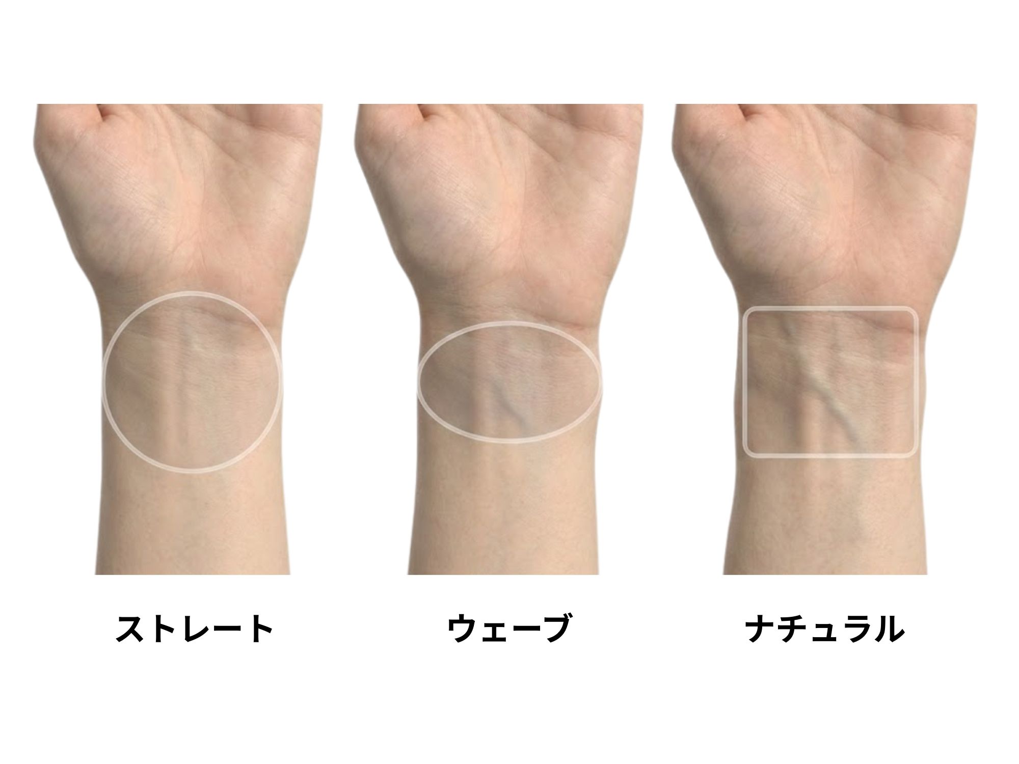 画像の説明（24）