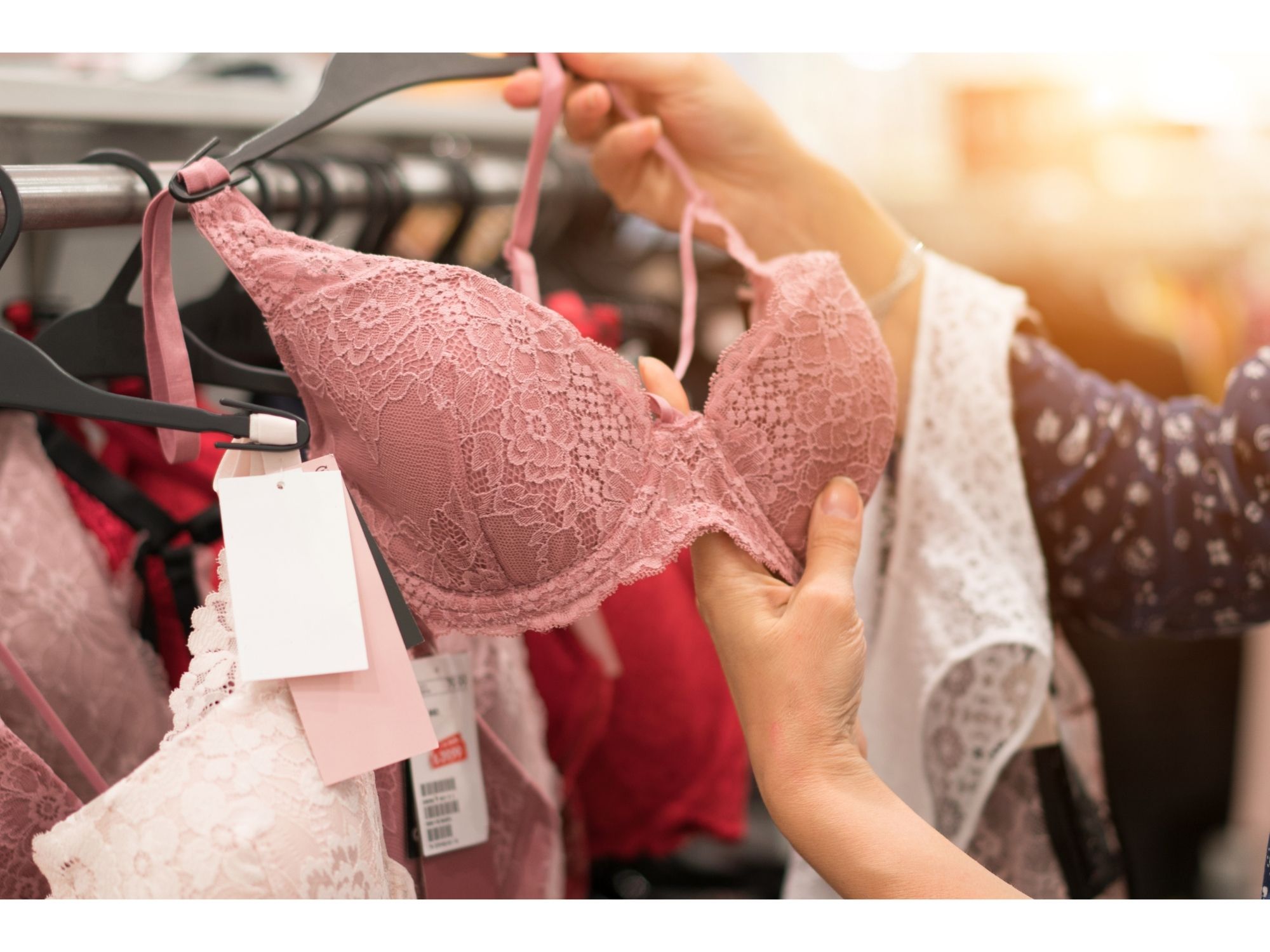 画像の説明（24）