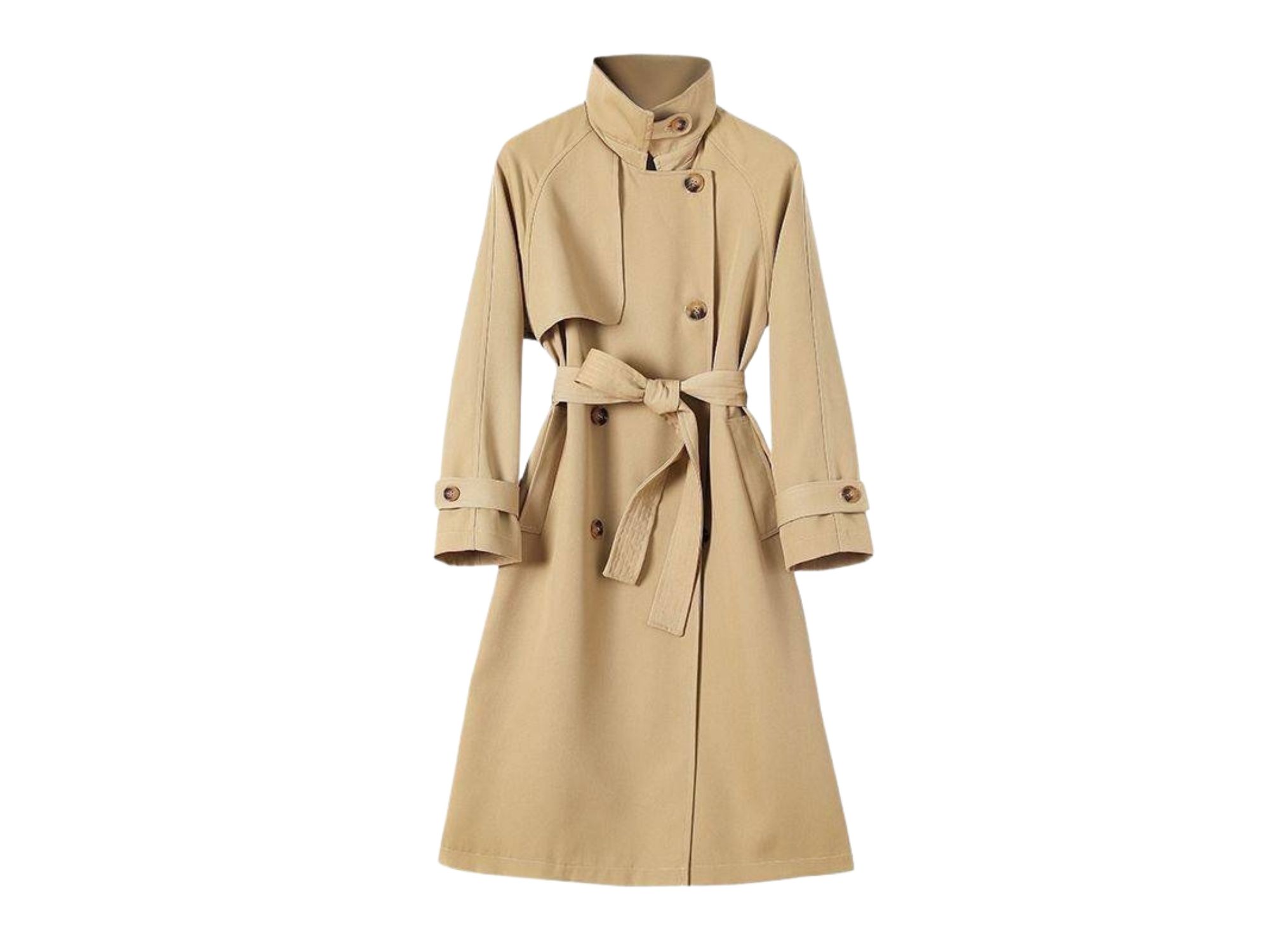 画像の説明（24）