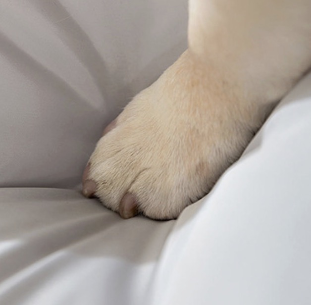 メイン画像:4枚目:ペットベッド 防水仕様大型犬用厚底クッション床置きベッド