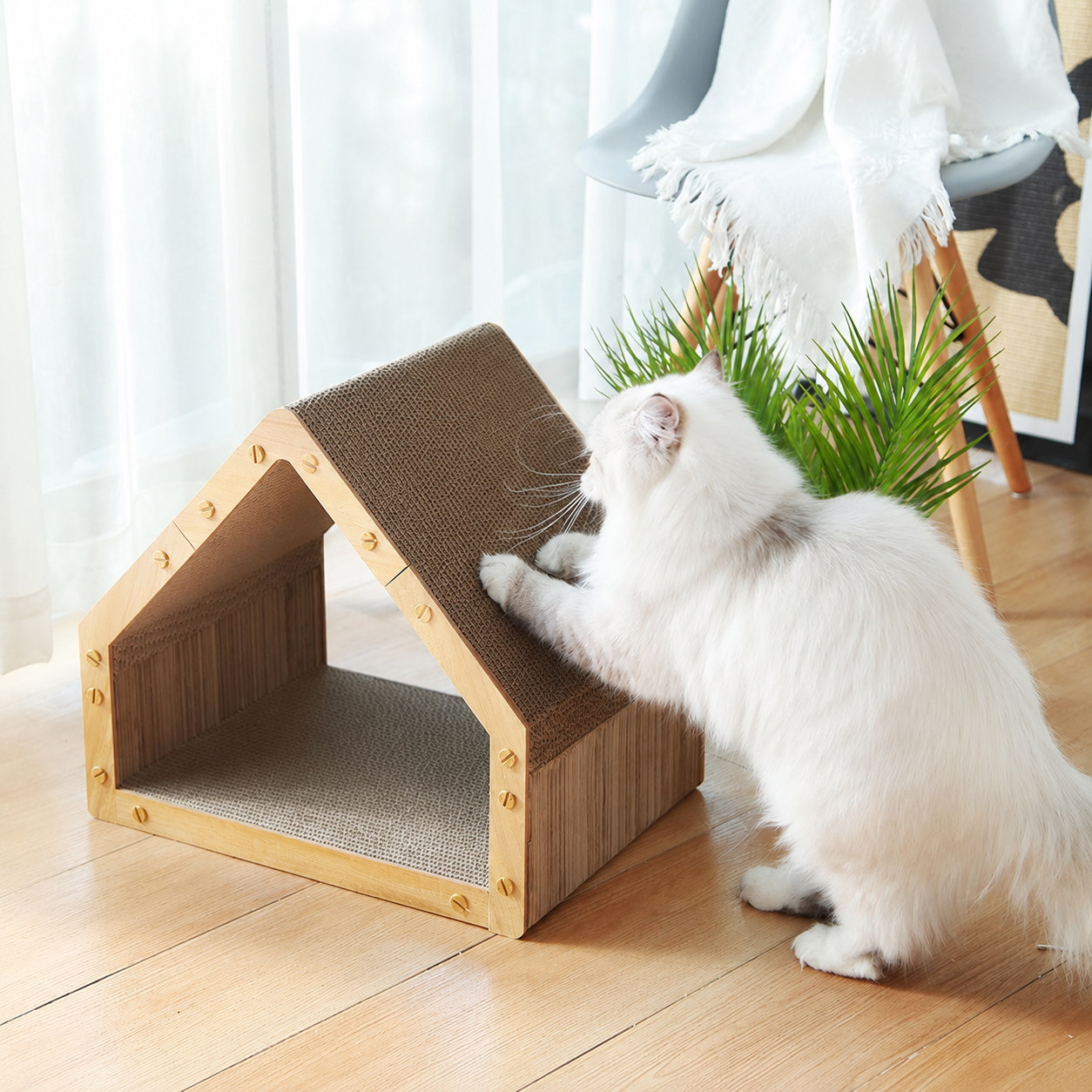 https://hot-spring-img.curema.jp/nekotogi/1783086962518_5lziks6n_uiuyv5ba.png