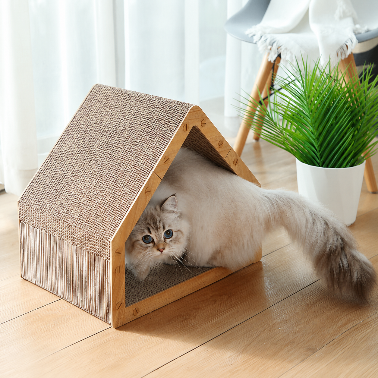 https://hot-spring-img.curema.jp/nekotogi/1783087091739_x49jfp0p_h309wn1b.png