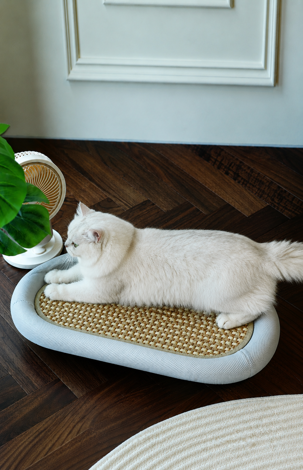 https://hot-spring-img.curema.jp/nekotogi/1783088450036_pzkpxq0p_75yo364o.png