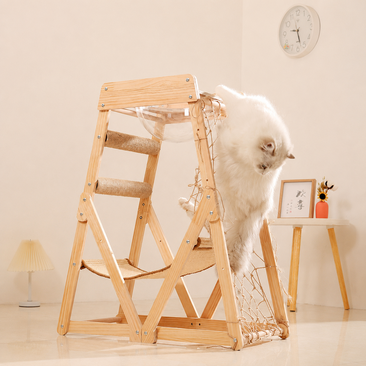 https://hot-spring-img.curema.jp/nekotogi/1784291441047_q6qlih7b_1kc1tpq3.png