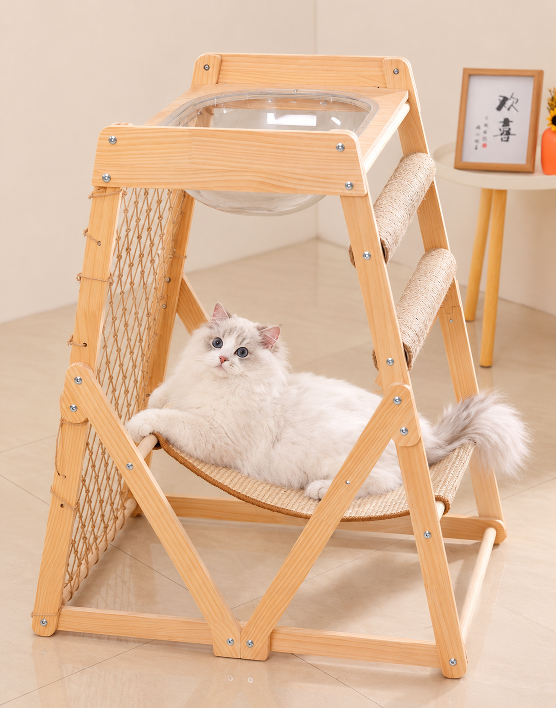 https://hot-spring-img.curema.jp/nekotogi/1784291446259_bwxawt0h_ikkeyjow.png