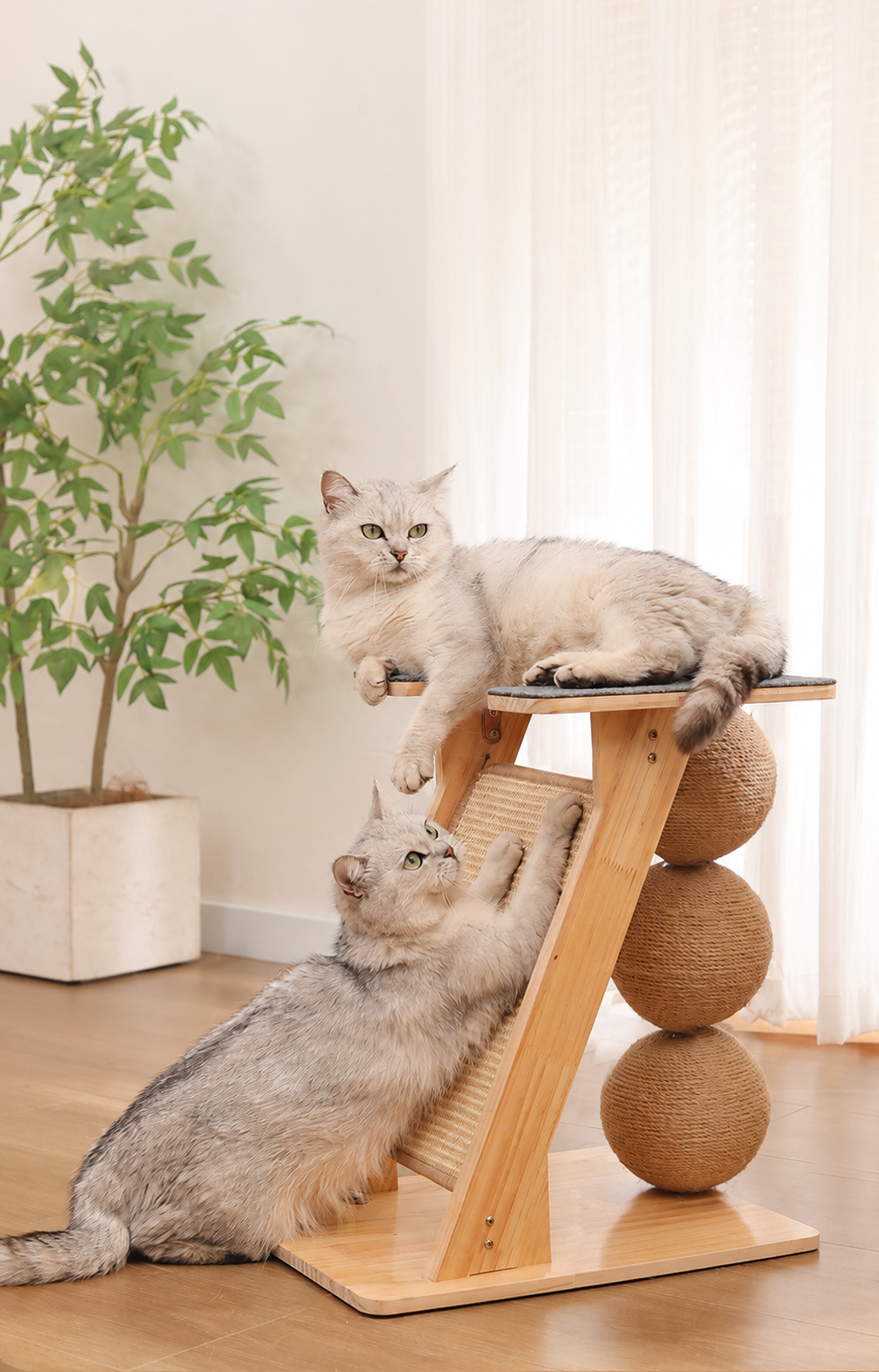 https://hot-spring-img.curema.jp/nekotogi/1784798204046_v3jzzbvn_1pe8whzz.png