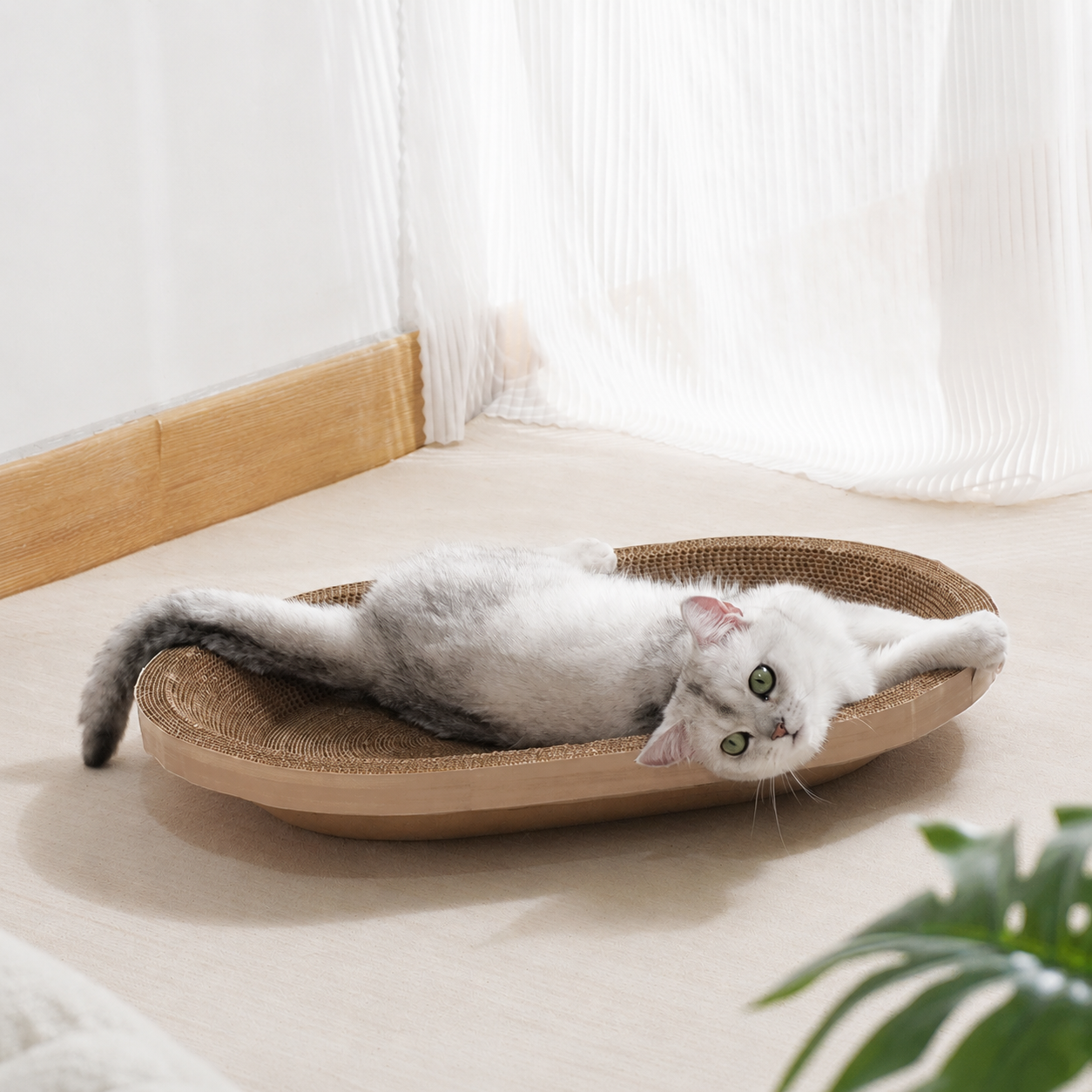 https://hot-spring-img.curema.jp/nekotogi/1784816398768_90fcp7ab_xj7jd0hk.png
