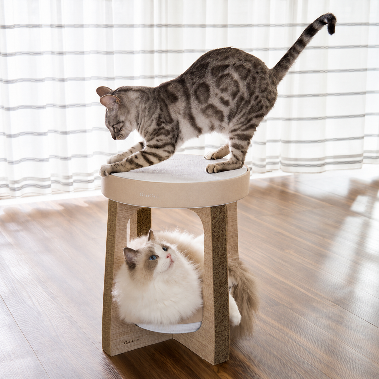 https://hot-spring-img.curema.jp/nekotogi/1785082453597_mdbdtm8q_m0ajkplg.png