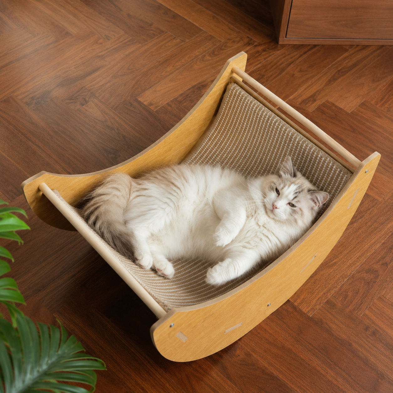 https://hot-spring-img.curema.jp/nekotogi/1785092000646_q1n8tkp4_1asowtfl.png