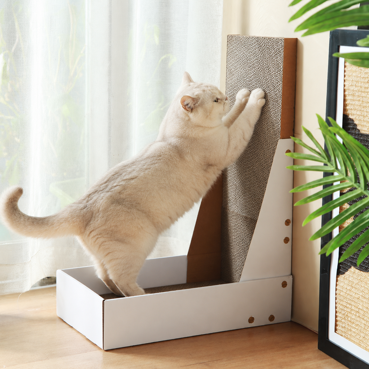 https://hot-spring-img.curema.jp/nekotogi/1785094180757_7ukzz2ob_91knmhdx.png