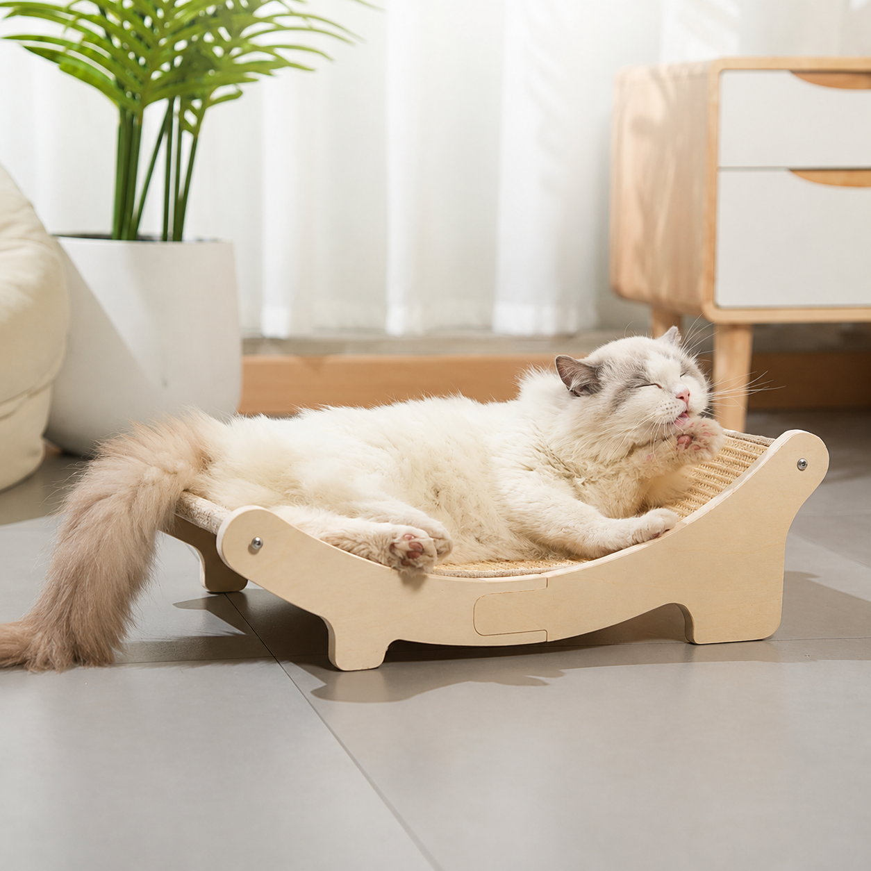 https://hot-spring-img.curema.jp/nekotogi/1785688371626_v3gj3bwm_aevv3x62.png