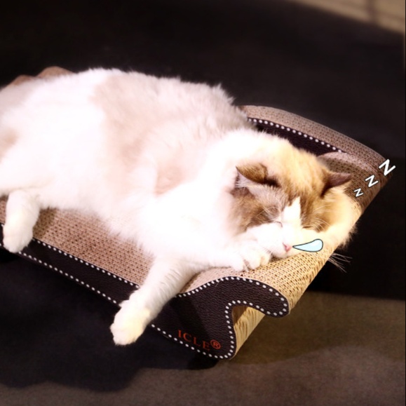 https://hot-spring-img.curema.jp/nekotogi/1786087943191_92pv3hvu_qjhzkvqo.jpeg