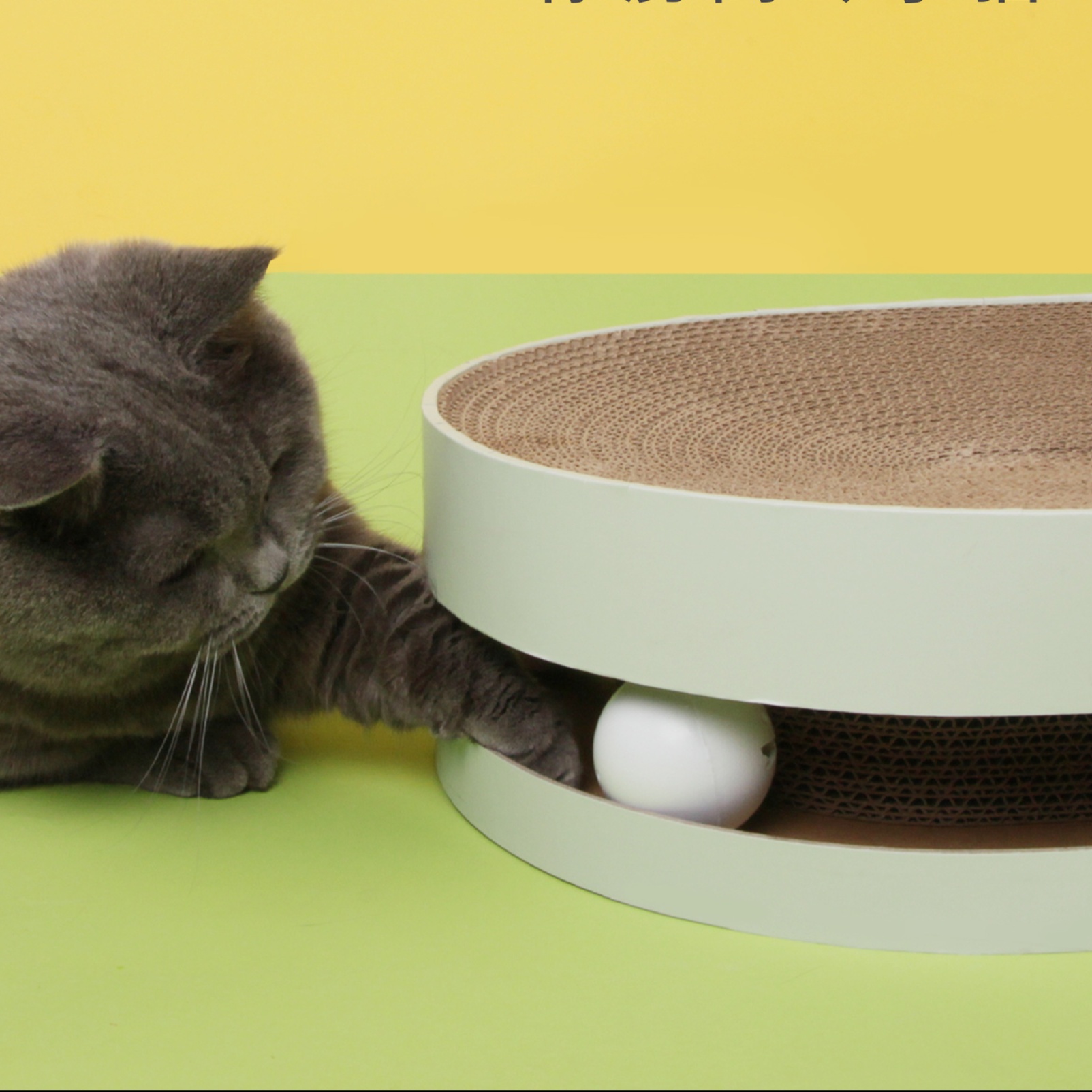 メイン画像:1枚目:猫の爪研ぎ 鈴入り猫用爪研ぎベッド 直径43センチ丸型