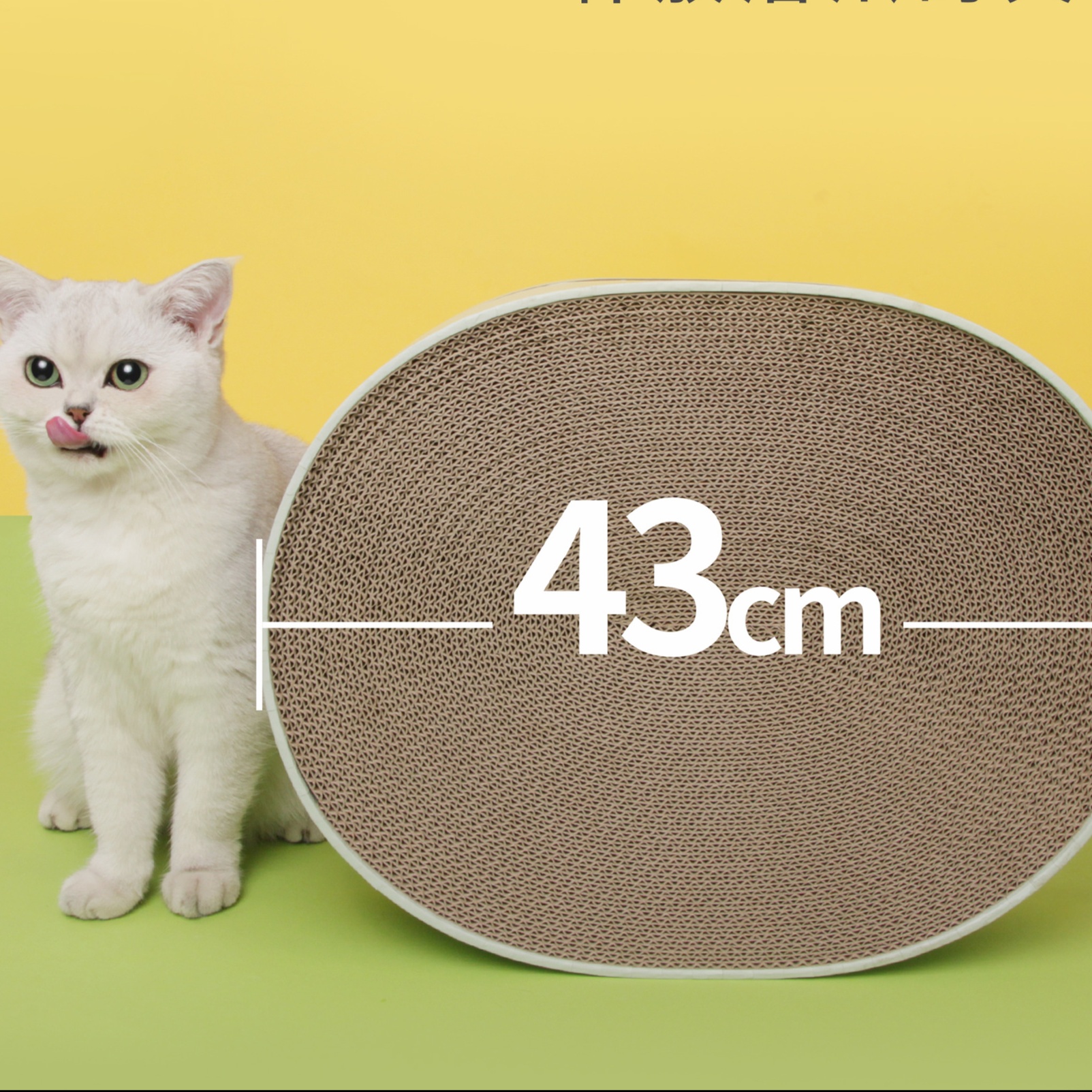 メイン画像:2枚目:猫の爪研ぎ 鈴入り猫用爪研ぎベッド 直径43センチ丸型