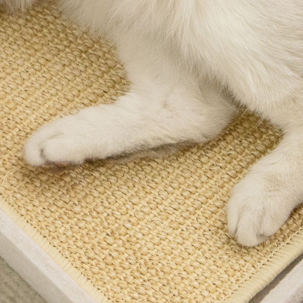 メイン画像:1枚目:猫の爪研ぎ 高級感漂う猫用ソファ型爪とぎベッド