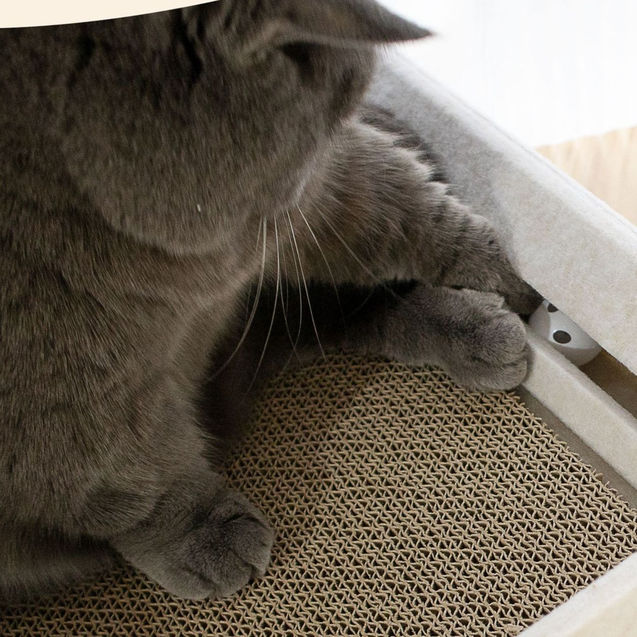 メイン画像:3枚目:猫の爪研ぎ 両面使える交換式猫用爪研ぎベッド