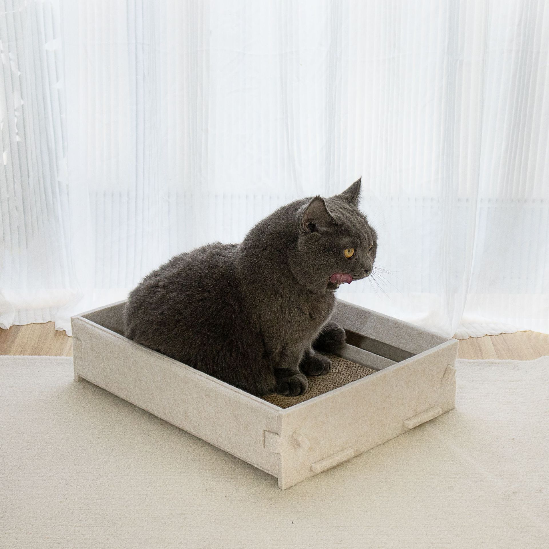 メイン画像:0枚目:猫の爪研ぎ 両面使える交換式猫用爪研ぎベッド