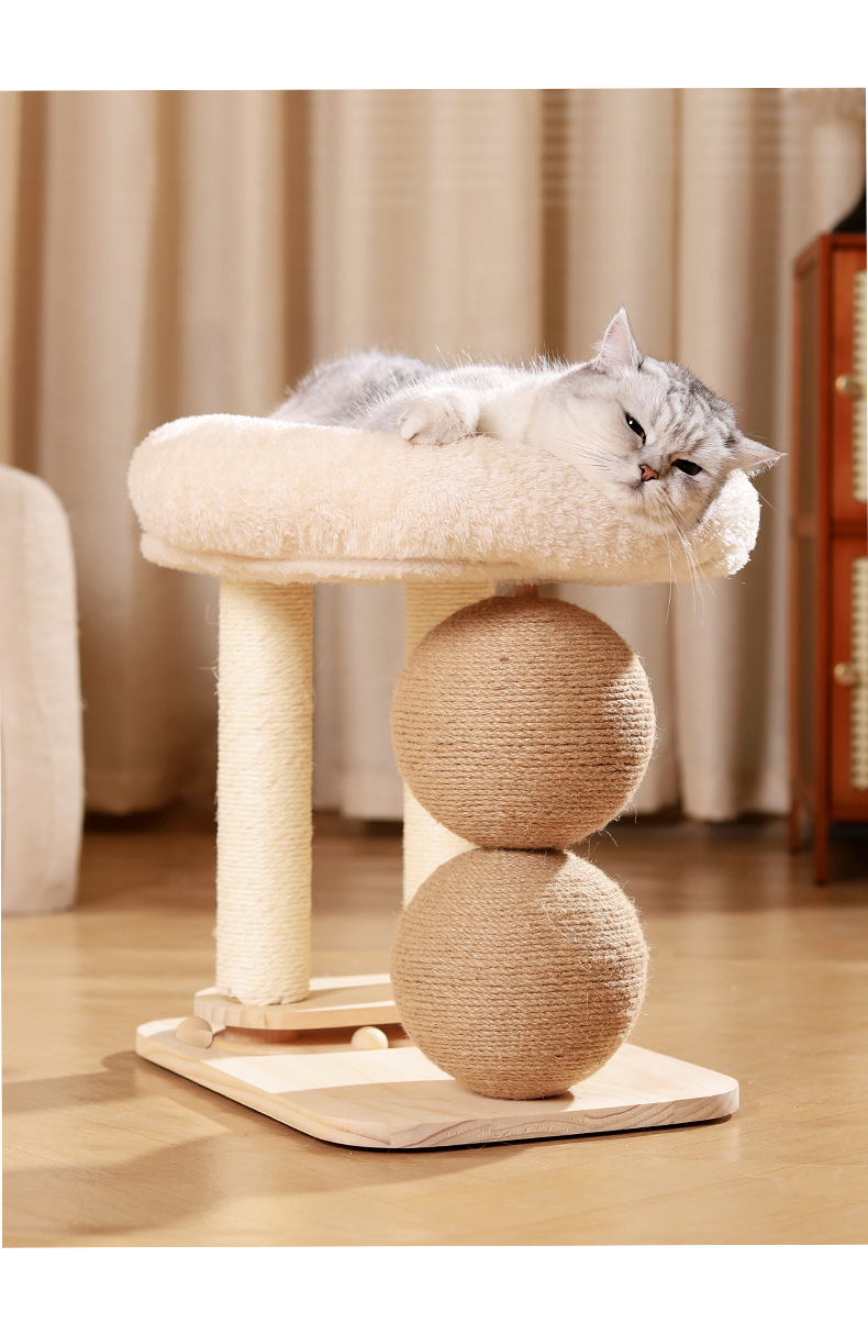 https://hot-spring-img.curema.jp/nekotogi/2565b35e-1b5c-40cc-86cb-0ac2aacb09d5.jpg