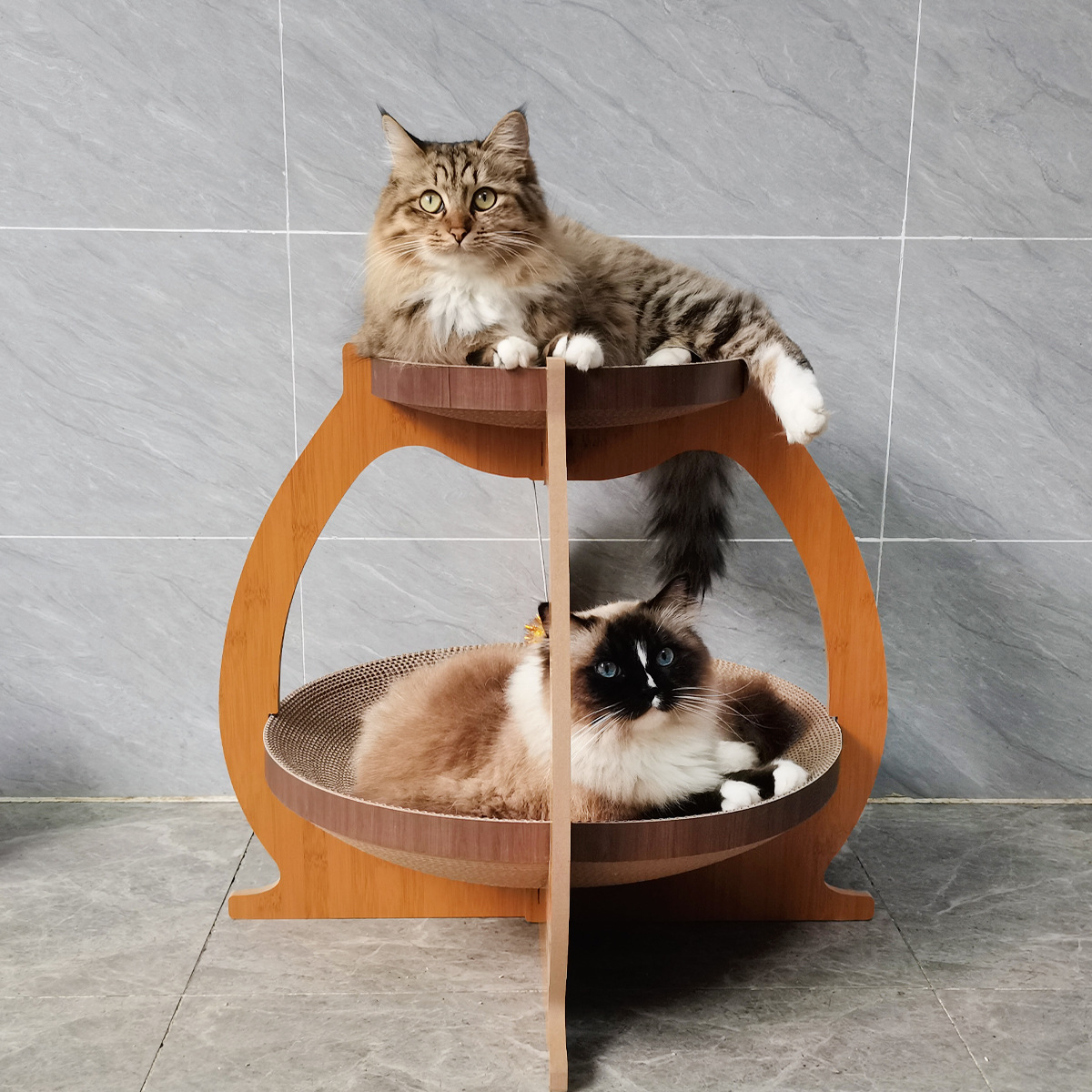 https://hot-spring-img.curema.jp/nekotogi/5359a9f4-8690-4a54-9684-2a39a893870b.jpg