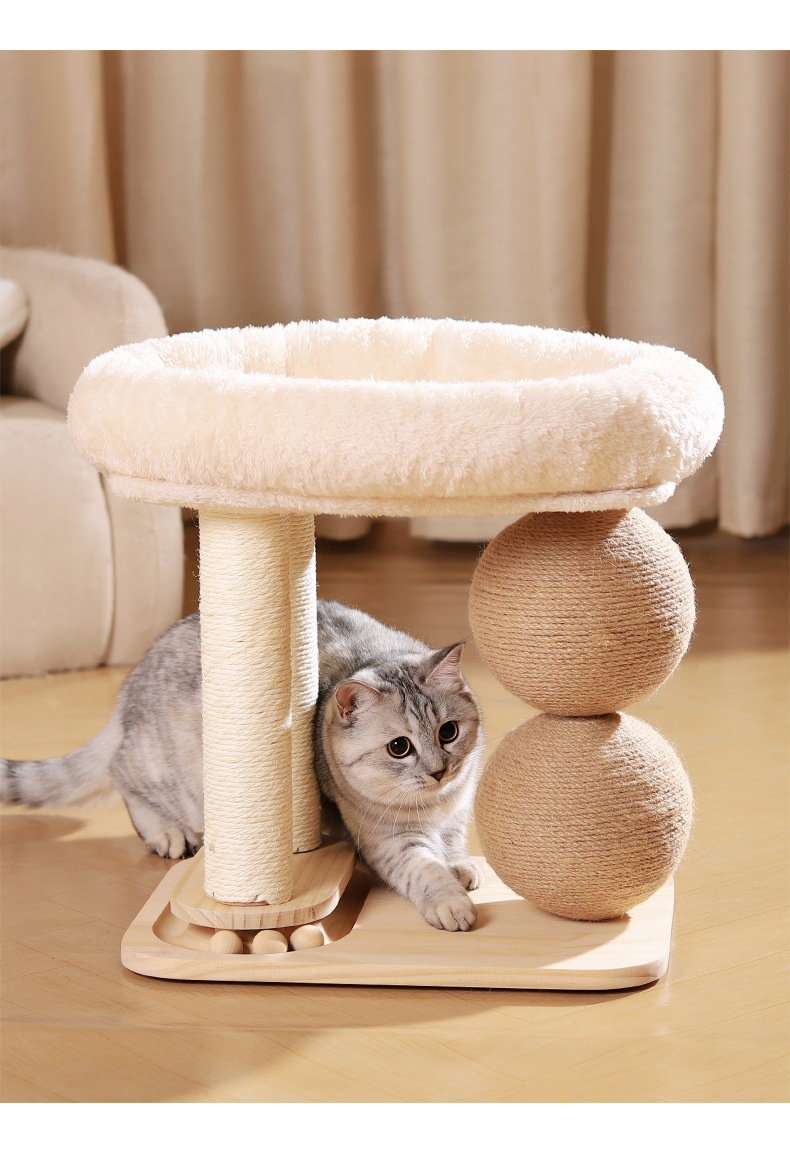 https://hot-spring-img.curema.jp/nekotogi/8e984be7-f4df-4599-84c0-030ccc4b2945.jpg
