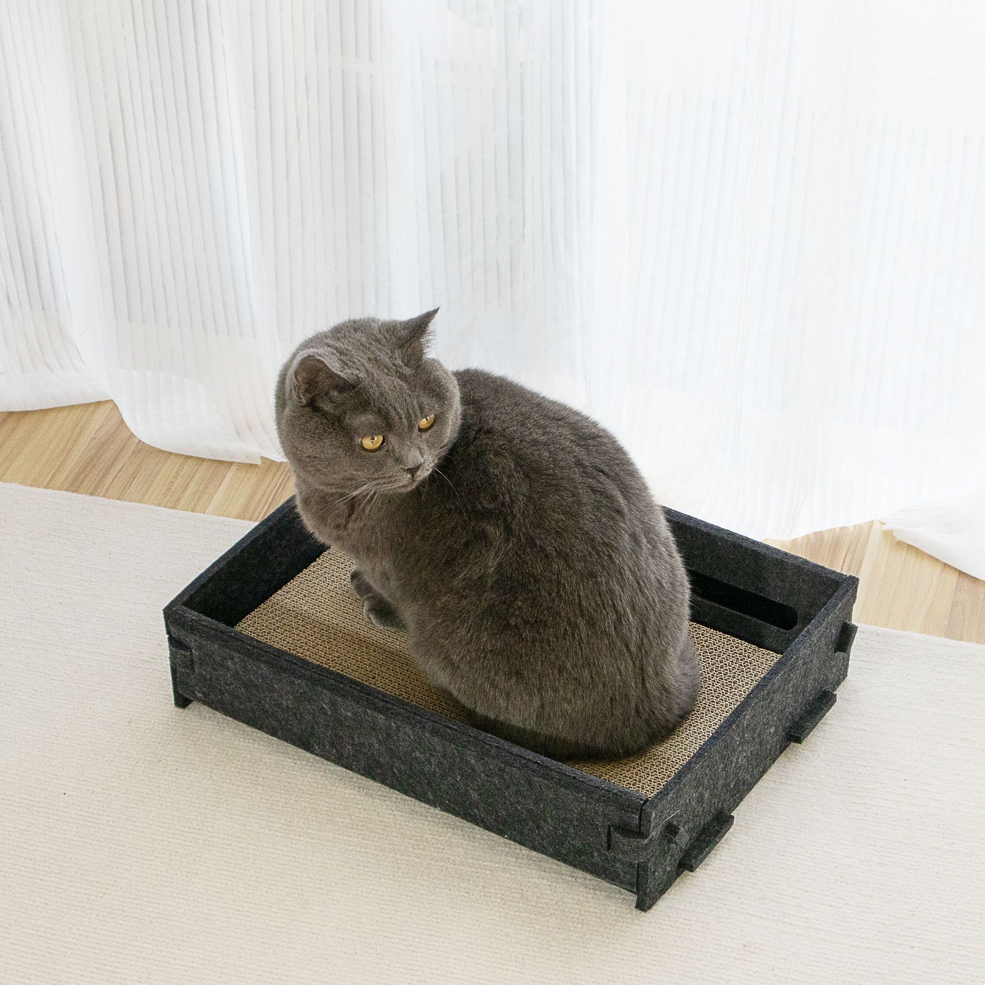 メイン画像:2枚目:猫の爪研ぎ 両面使える交換式猫用爪研ぎベッド