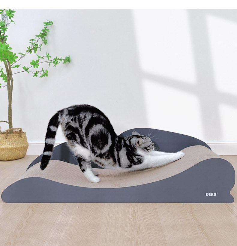 https://hot-spring-img.curema.jp/nekotogi/b81c3081-47bd-4751-97a6-9a5fd4b3d60a.jpg