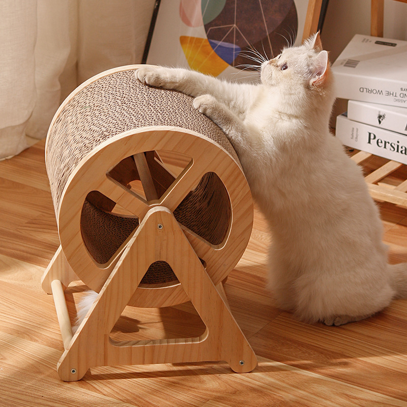 https://hot-spring-img.curema.jp/nekotogi/c7597d14-f7f6-452d-8b38-05a0667ad32d.jpg